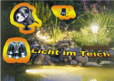 Licht im Teich